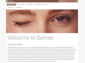 Design: Salinas - Variante: Wink